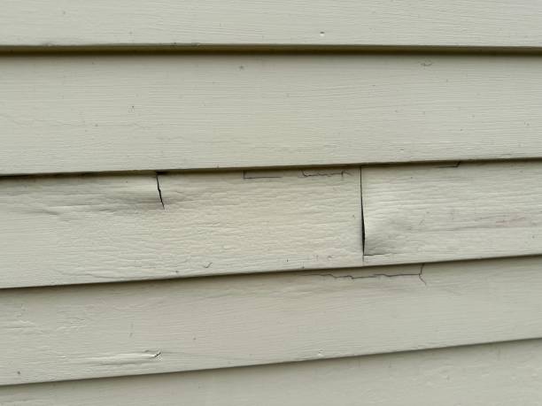 Same-Day Junk Removal Services in Bethlehem, WV